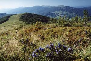 Panorama Bieszczadw fot. W. Czado