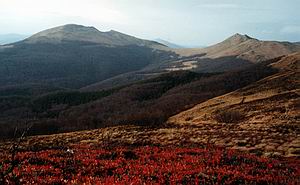 Tarnica - widok z Rozsypaca - fot W.Czado