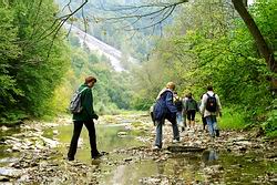 Beskid Niski - Wisok w Rudawce Rymanowskiej fot. W. Czado